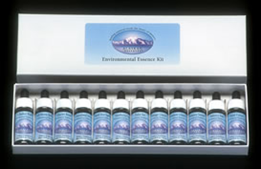 Boxed set of 12 Alaskan environmental essences in 7.5ml size