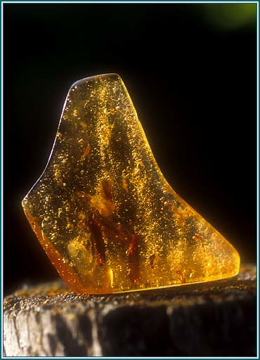 Amber Amber - Alaskan Research Gem Essence