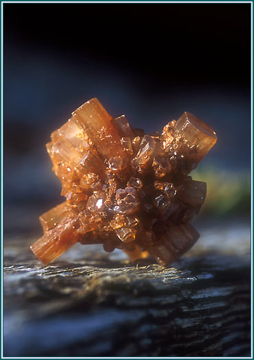 Aragonite Aragonite - Alaskan Research Gem Essence
