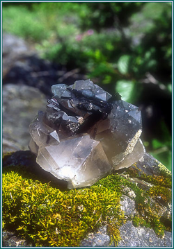 Black Tourmaline/Master Quartz Black Tourmaline/Master Quartz - Alaskan Research Gem Essence