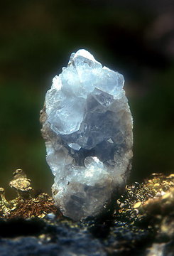 Celestite Celestite - Alaskan Research Gem Essence