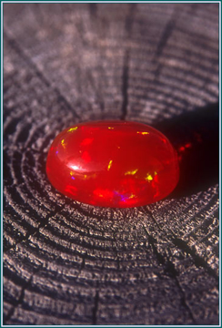 Fire Opal Fire Opal - Alaskan Research Gem Essence