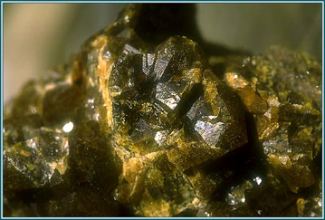 Green Garnet Green Garnet - Alaskan research Gem Essence