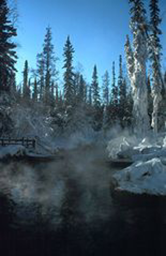 Liard Hot Springs - Alaskan Environmental Essence