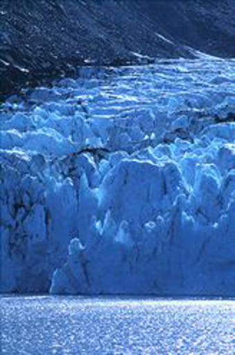 Portage Glacier  - Alaskan Environmental Essence