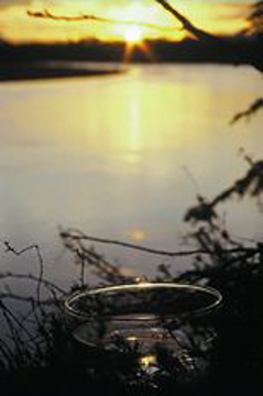 Solstice Sun Solstice Sun - Alaskan Environmental Essence