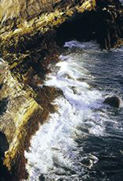 Tidal Forces Tidal Forces - Alaskan Environmental Essence