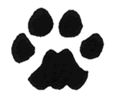 Show products in category Wild Earth Animal Essences Picture for category Wild Earth Animal Essences