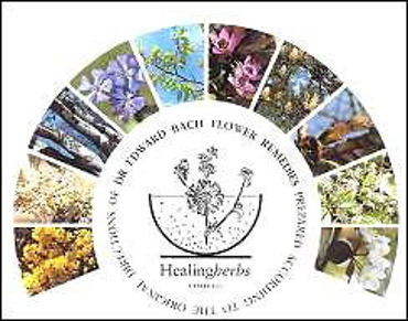 Show products in category Bach Flower Remedies - Healing Herbs Picture for category Bach Flower Remedies - Healing Herbs