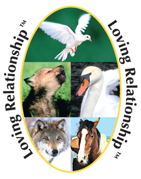 Loving Relationship Animal Essence Loving Relationship Animal Essence