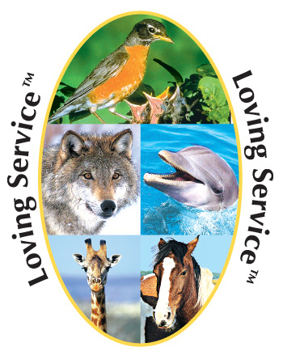 Loving Service Essence Loving Service Essence