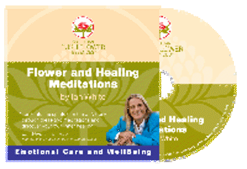 Flower & Healing Meditations CD Flower & Healing Meditations CD - Ian White