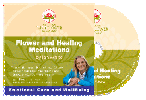Flower & Healing Meditations CD - Ian White