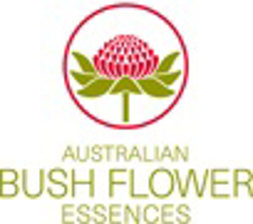 Empty Australian Bush Flower Essences Kit Boxes