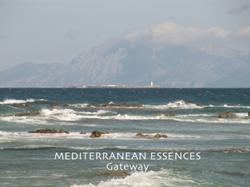 Gateway Gateway Mediterranean Environmental Essence