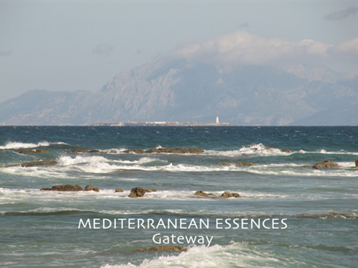 Gateway Mediterranean Environmental Essence