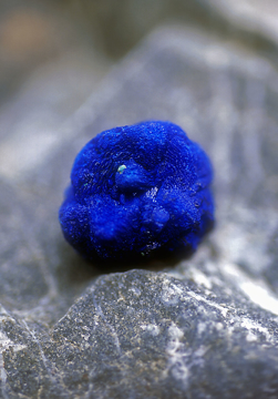 Azurite Azurite - Alaskan Gem Elixir