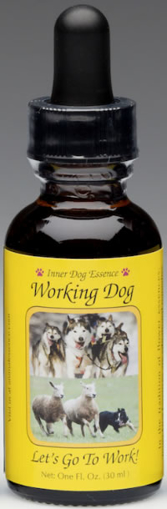 Working Dog Animal Essence - Let's Go To Work