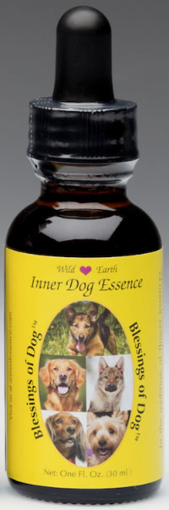 Blessings of Dog Wild Earth Animal Essence
