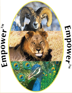 Empower - Wild Earth Essence Combination Empower - Wild Earth Essence Combination