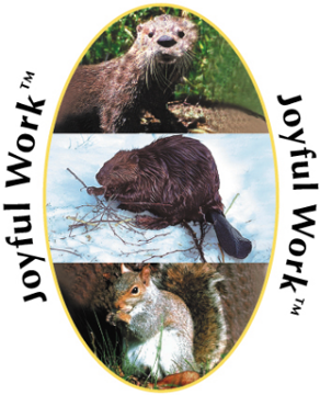 Joyful Work - Wild Earth Essence Combination Joyful Work - Wild Earth Essence Combination