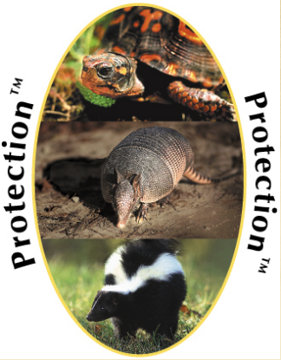 Protection - Wild Earth Essence Combination Protection - Wild Earth Essence Combination