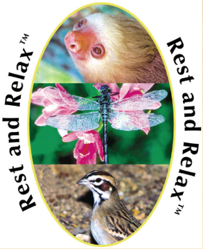 Rest & Relax - Wild Earth Essence Combination Rest & Relax - Wild Earth Essence Combination