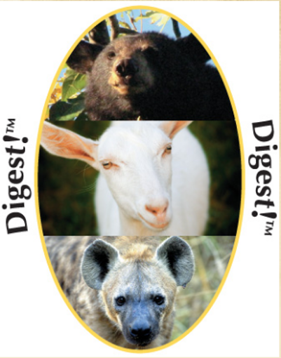 Digest - Wild Earth Essence Combination