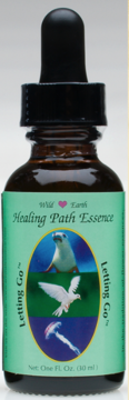 Letting Go - Healing Path Essence Letting Go - Healing Path Essence