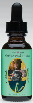 Gratitude - Healing Path Essence Gratitude - Healing Path Essence