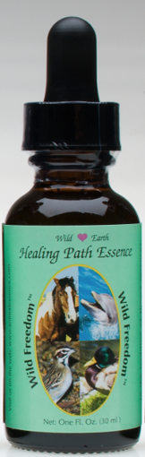 Wild Freedom - Healing Path Essence