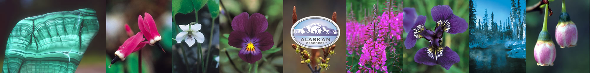 Alaskan Flower, Gem and Environmental Essences banner 2