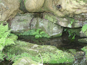 Rock Water Flower Rock Water Bach Flower Remedy