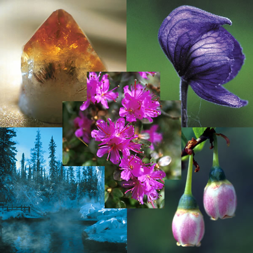 Alaskan Personalised Flower Essence Combination.