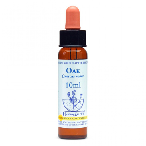 Oak Bach Flower Remedy 10ml stock bottle