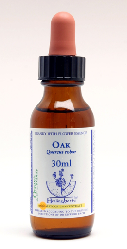 Oak Bach Flower Remedy 30ml stock bottle