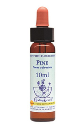 Pine Bach Flower Remedy 10ml stock bottle