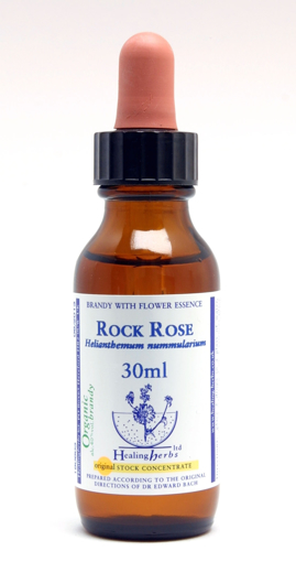 Rock Rose Bach Flower Remedy 30ml stock bottle