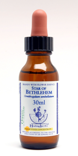 Star of Bethlehem Bach Flower Remedy 30ml stock bottle