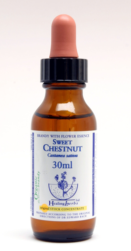 Sweet Chestnut Bach Flower Remedy 30ml stock bottle