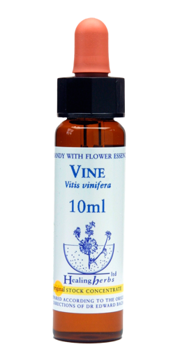Vine Bach Flower Remedy 10ml stock bottle