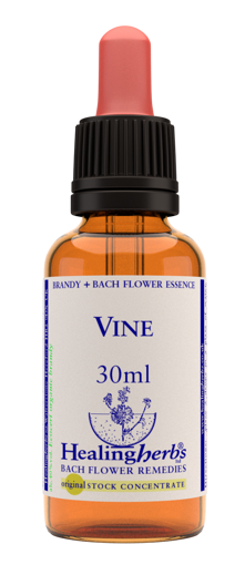 Vine Bach Flower Remedy 30ml stock bottle