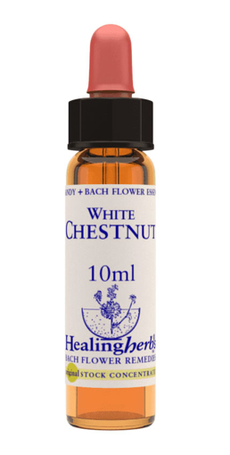 White Chestnut Bach Flower Remedy 10ml stock bottle