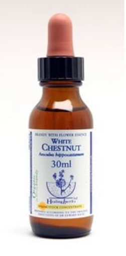White Chestnut Bach Flower Remedy 30ml stock bottle