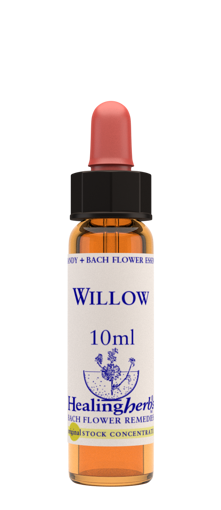 Willow Bach Flower Remedy 10ml stock bottle