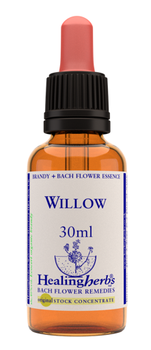 Willow Bach Flower Remedy 30ml stock bottle