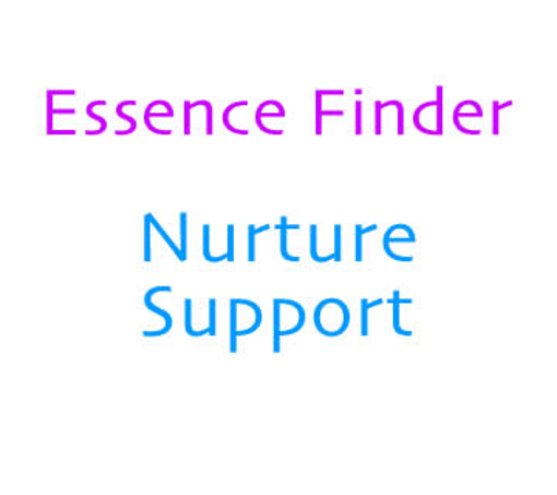Picture of Nurture Support