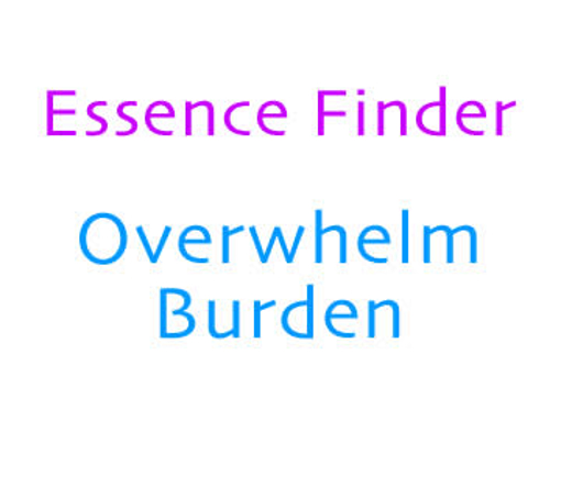 Picture of Overwhelm Burdened