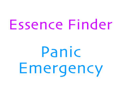 Picture of Panic Emergency