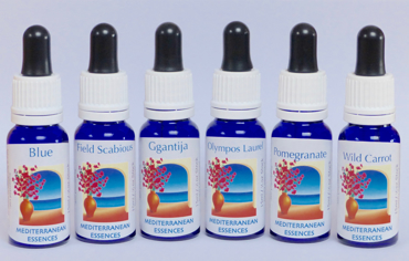 Show products in category Mediterranean Individual Stock Essences Picture for category Mediterranean Individual Stock Essences